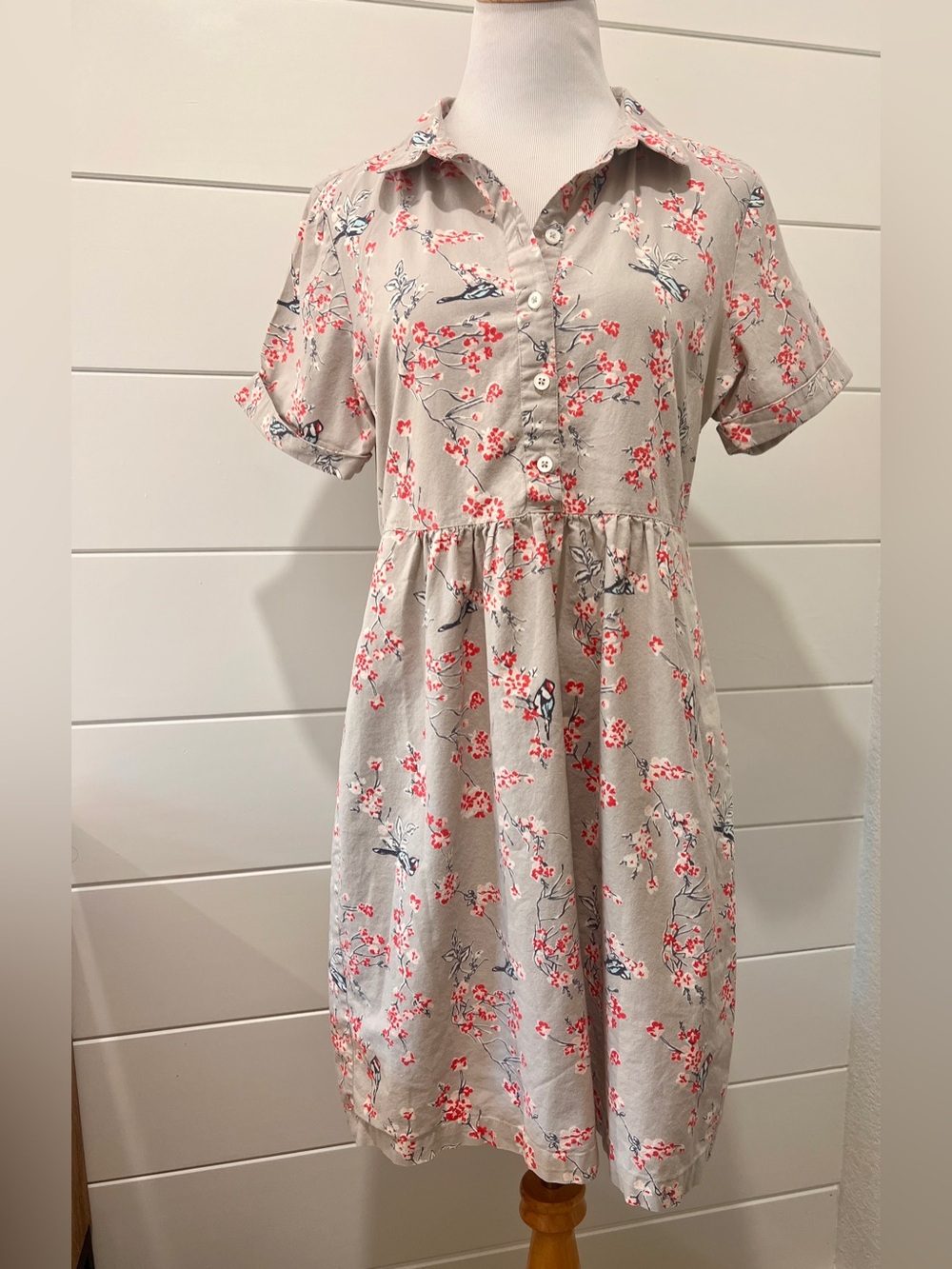 Euro Brakeburn cotton dress